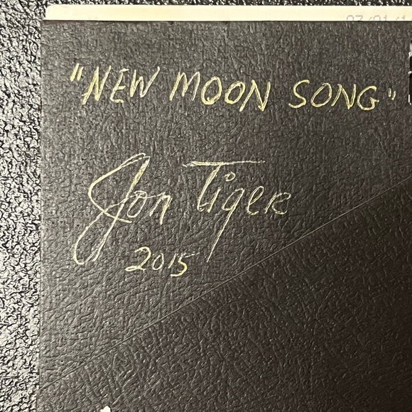 Jon Tiger hand painted Indian plaque on stand - Picture 3 of 3